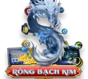 rồng bạch kim chấm net